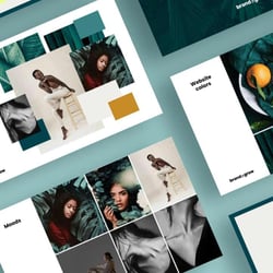 Konzept und Moodboard Website