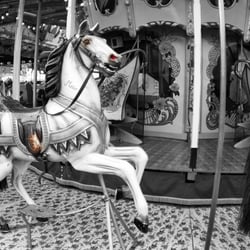 Pferd