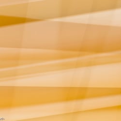 Lichtbild (21 von 40)