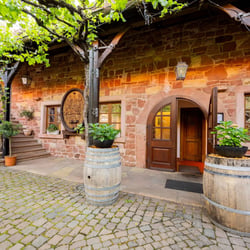 Hofansicht mit Weinlaub