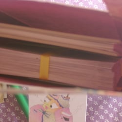 Blick in die Verpackung: Das Textbüchlein, sowie der Stapel mit den Illustrationen sind gut verstaut.