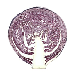 Rotkohl