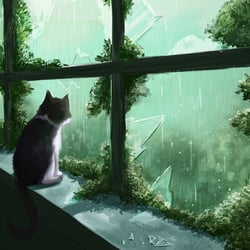 Rainy days