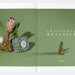Bildbearbeitung für die Fotografin Carmen Mitrotta