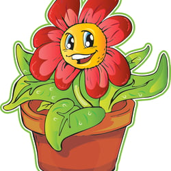 Blume