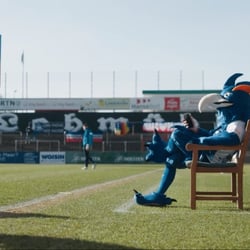 bwin x Rival Days