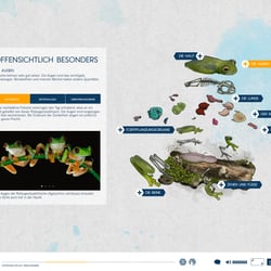 Explosionsfrosch, Web-Dok Frogs & Friends e.V