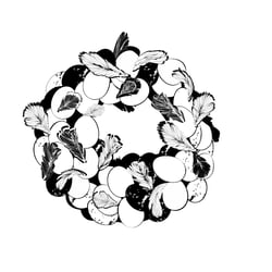 Vignette vectorized