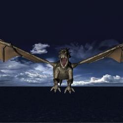 Drache1