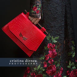 CristinaDirnea Portofolio 2010 – 2019 b