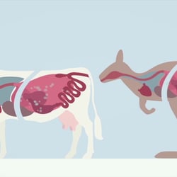 Klima Animation – Spiegel Online