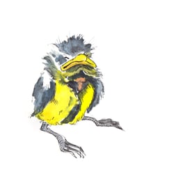 Aquarell und Tusche