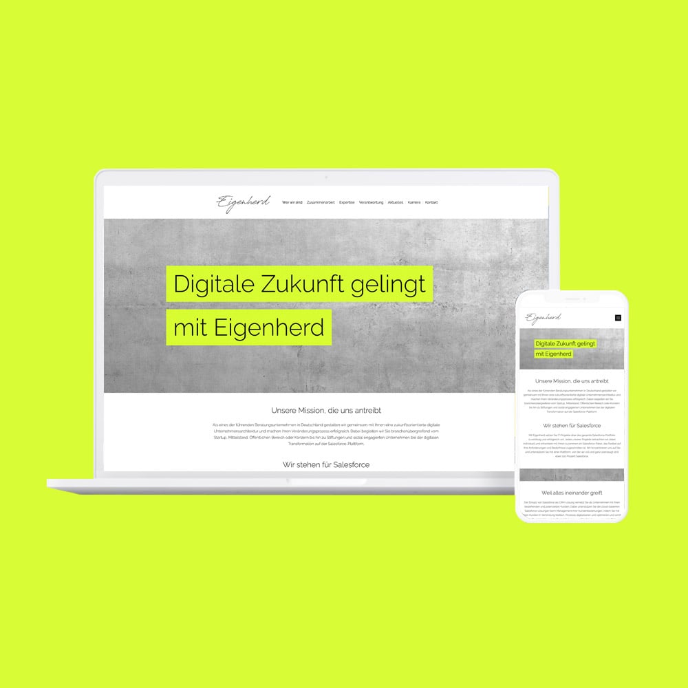 Website (Wordpress)
