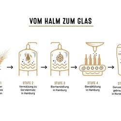 Icon Serie // Schaubild „Vom Halm zum Glas“
