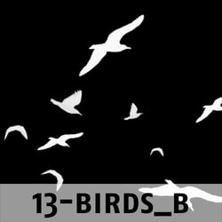 Beispiel für Pinsel-Set: Birds
