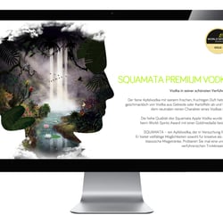 Website 22