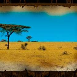 The Plains of Ruaha – Die Ebenen von Ruaha (Ruaha NP, Tanzania 2011)