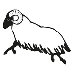 Illustration „Heidschnucke“ für eine Einladung