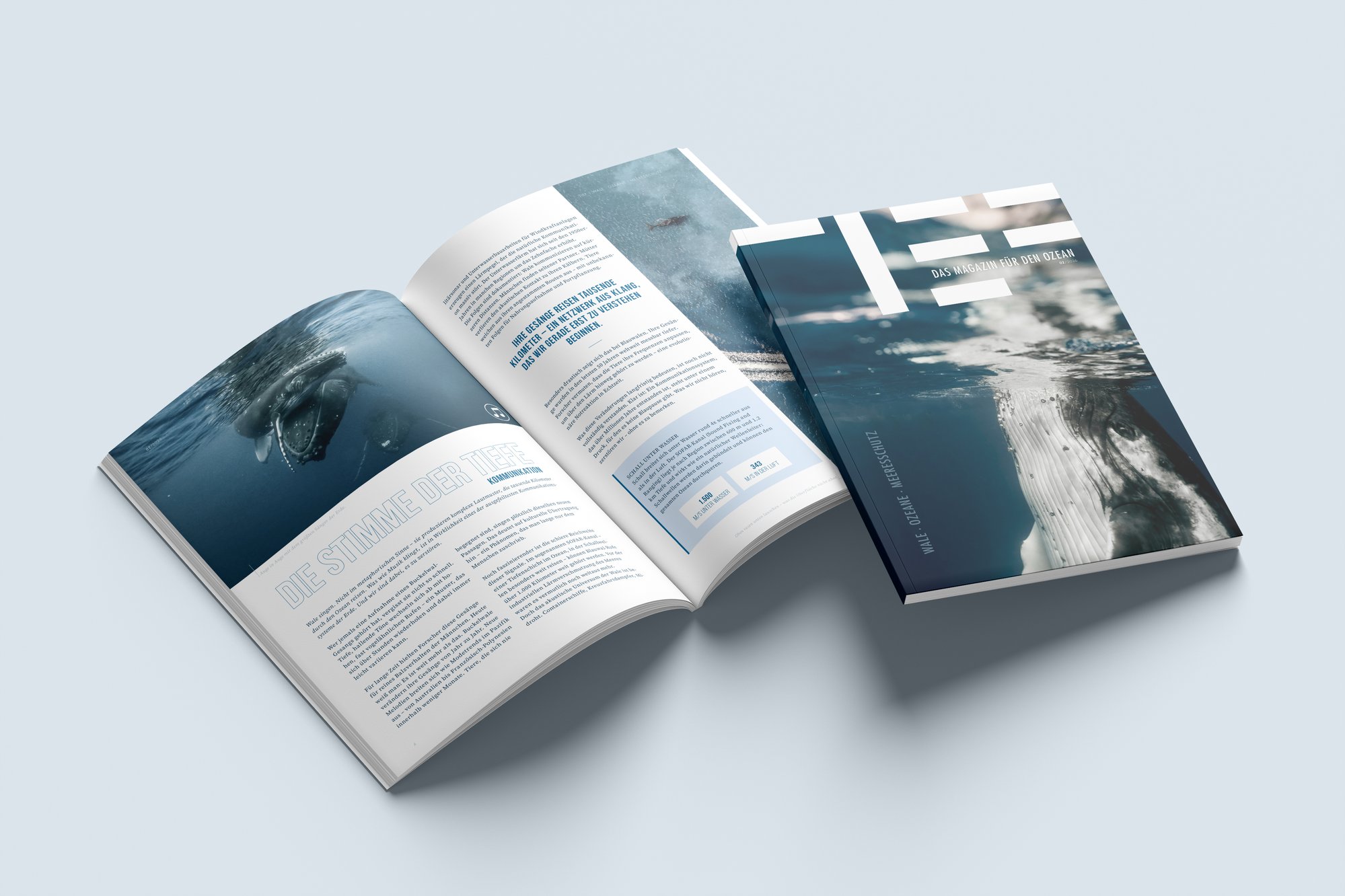 OfG InDesign Masterclass – Modulaufgabe M3