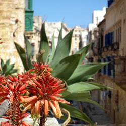 malta, valetta