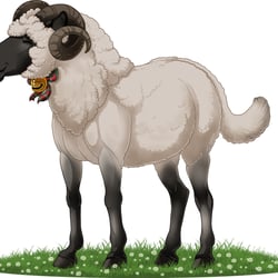 Character Visualisation (Equine with Sheep traits)