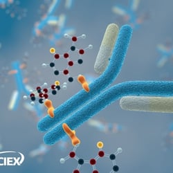 Antibody drug conjugates