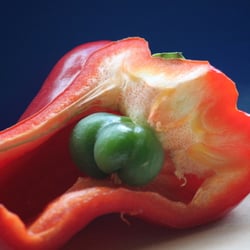 Food Fotografie 2012 Paprika halbiert