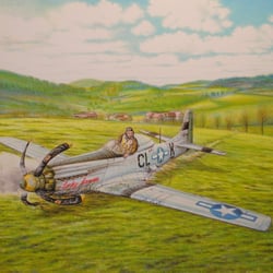 Odenwald bei Reichelsheim 1945. Notlandung der P-51 Mustang „Lady Lorene“. Buntstifte auf Malkarton