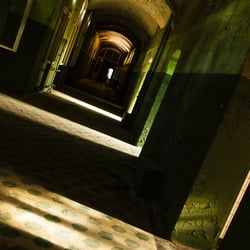 The Asylum
