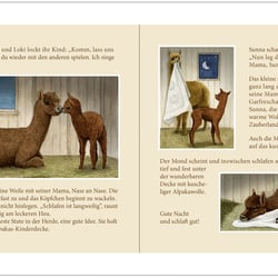 Alpaka Kinderbuch – Aquarell