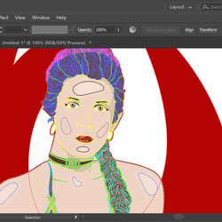 Screen Capture