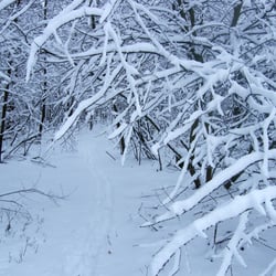 Winter 2010/11