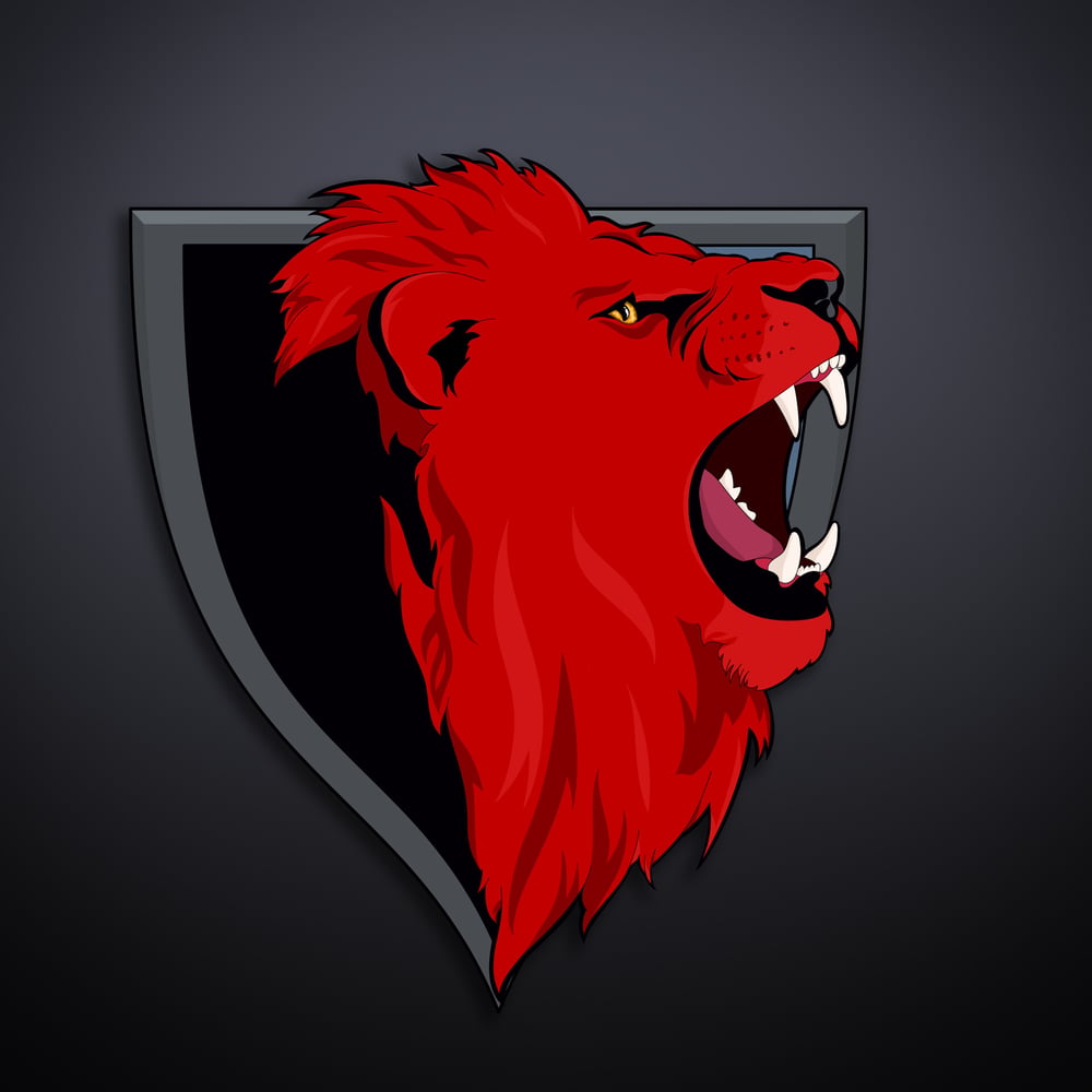 Final Design