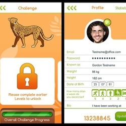 UI Design