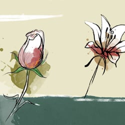 Illustration Blume