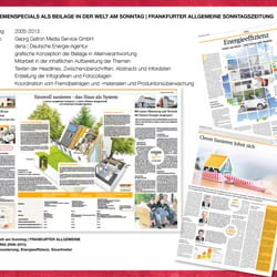 dena Energieagentur Beilage