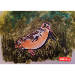 #Septembird 23 – Tag 8 – Vogel:American Woodcock.