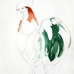 Studie Gockel