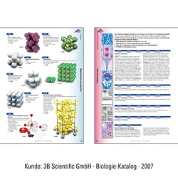 3B Scientific-3