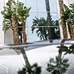 Nils Hendrik Mueller: Corporate / Los Angeles 2008