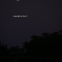 Moon – Jun. 2014 © by Dina.T