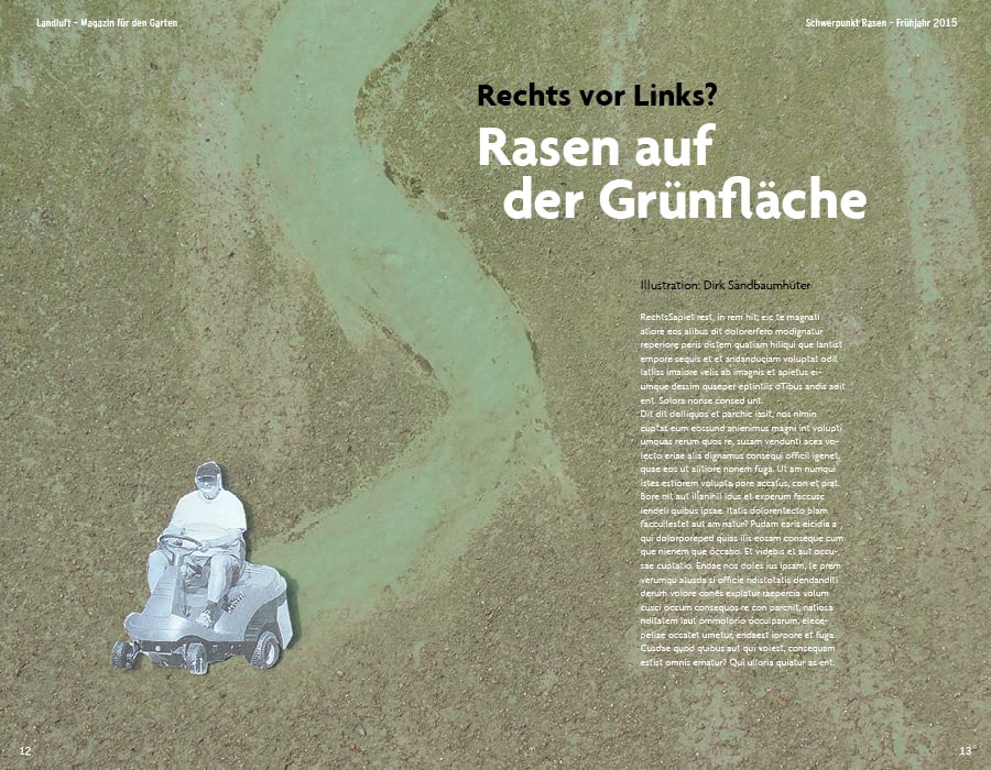 Rasen auf der Grünfläche