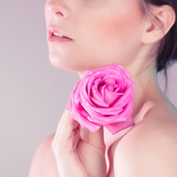die rose