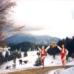 romania8