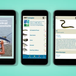 App-Screens