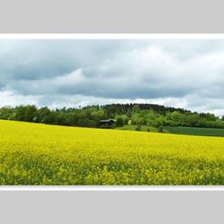 Fotografie-Natur