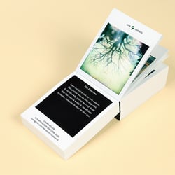 photodarium 2018 16