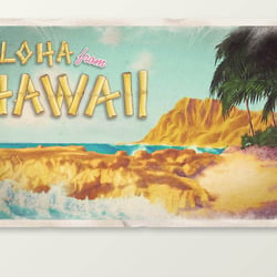 C&A Hawaii