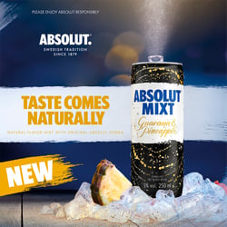 Agentur HALMA Leistungen SocialMedia: Absolut
