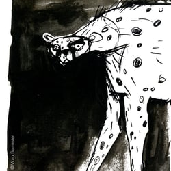„Gepard“(Illustration für einen Buchentwurf – Bilderbuch für Erwachsene)